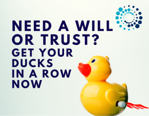 Need a Will or a Trust