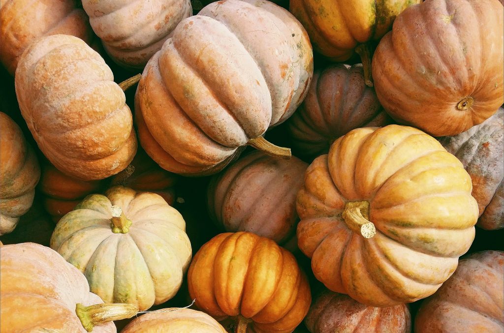 Planning Ahead This October: Why Fall Is the Perfect Time to Revisit Your Estate Plan